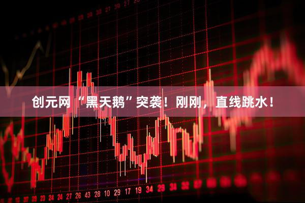 创元网 “黑天鹅”突袭！刚刚，直线跳水！