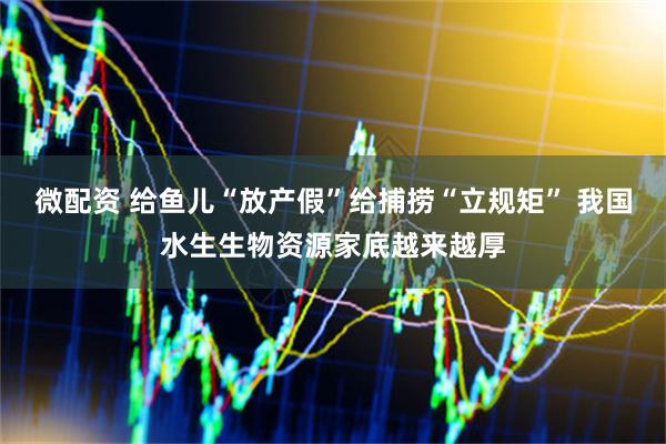 微配资 给鱼儿“放产假”给捕捞“立规矩” 我国水生生物资源家底越来越厚
