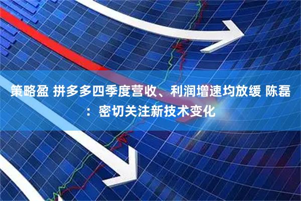 策略盈 拼多多四季度营收、利润增速均放缓 陈磊：密切关注新技术变化