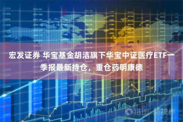 宏发证券 华宝基金胡洁旗下华宝中证医疗ETF一季报最新持仓，重仓药明康德