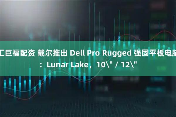 汇巨福配资 戴尔推出 Dell Pro Rugged 强固平板电脑:Lunar Lake,10