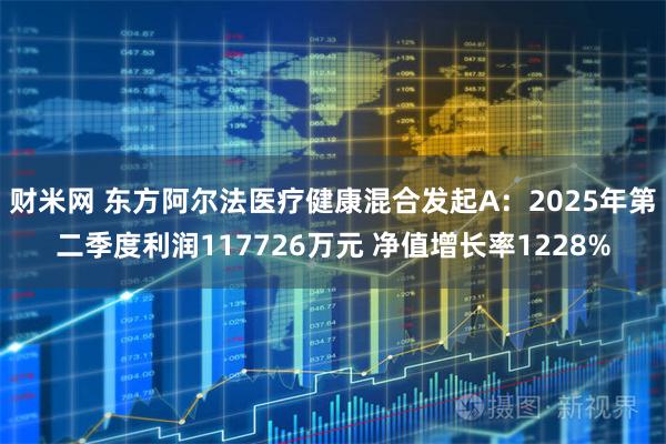 财米网 东方阿尔法医疗健康混合发起A：2025年第二季度利润117726万元 净值增长率1228%