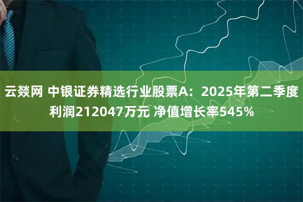 云燚网 中银证券精选行业股票A：2025年第二季度利润212047万元 净值增长率545%