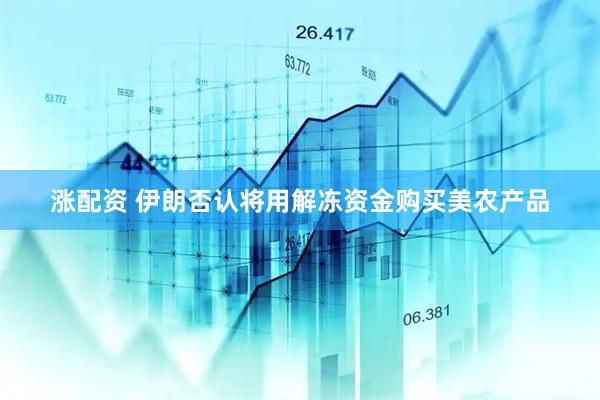 涨配资 伊朗否认将用解冻资金购买美农产品